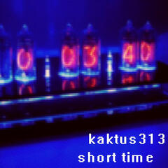 cover for kaktus313 album